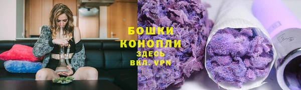 трава Гусиноозёрск