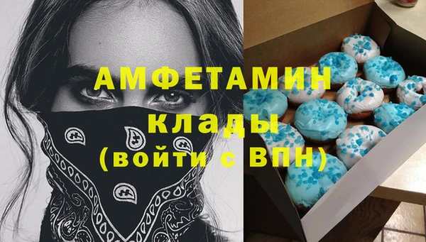трава Гусиноозёрск