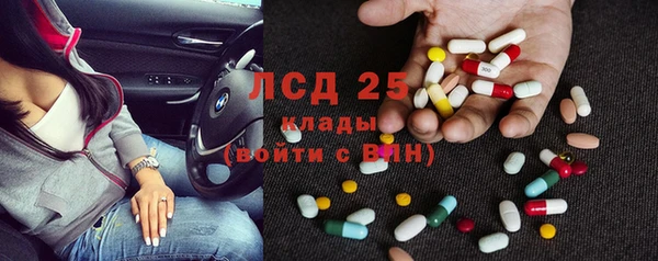 трава Гусиноозёрск