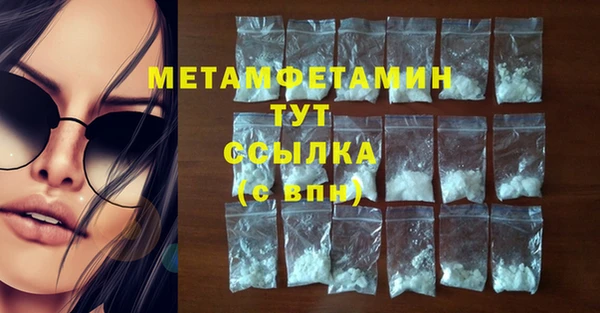 трава Гусиноозёрск