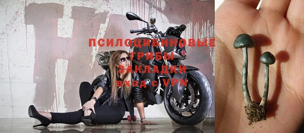 мяу мяу кристалл Гусь-Хрустальный