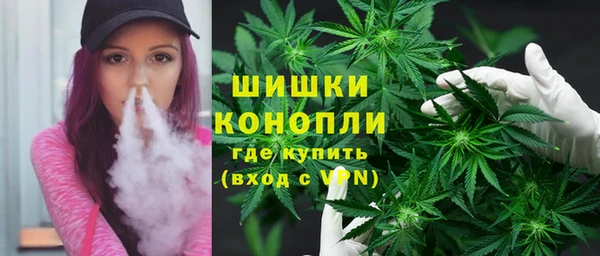 трава Гусиноозёрск