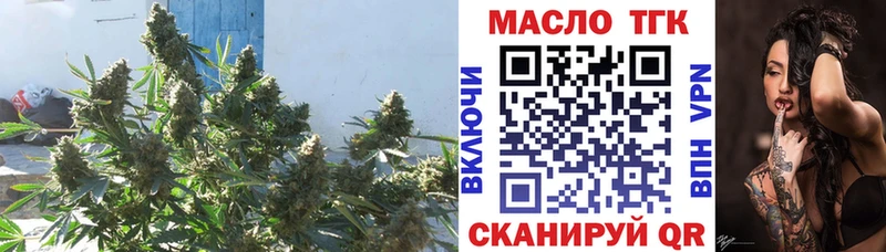 Купить где  Россошь  ТГК гашишное масло 