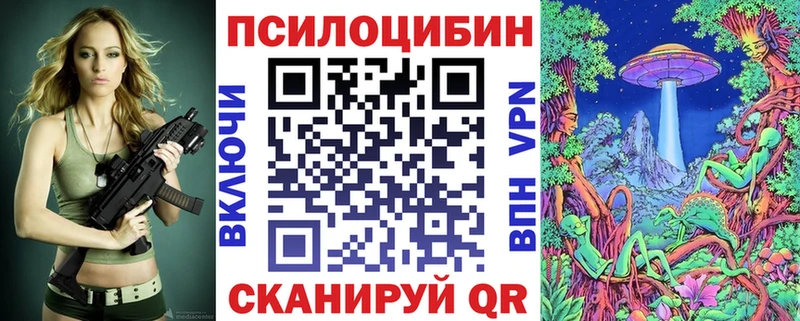 Купить  Россошь  Псилоцибиновые грибы Magic Shrooms 